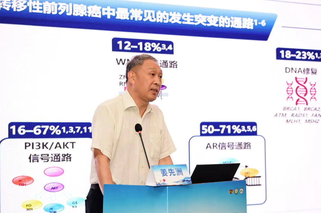 图片11
