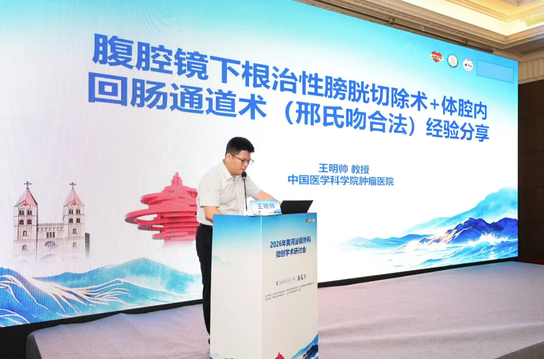 图片15